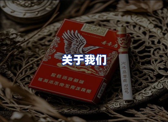 专业团队